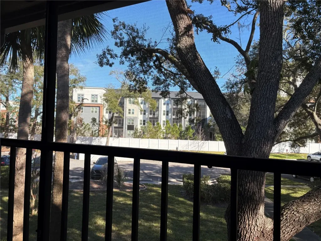 3241 Fox Chase Circle N Palm Harbor FL 34683