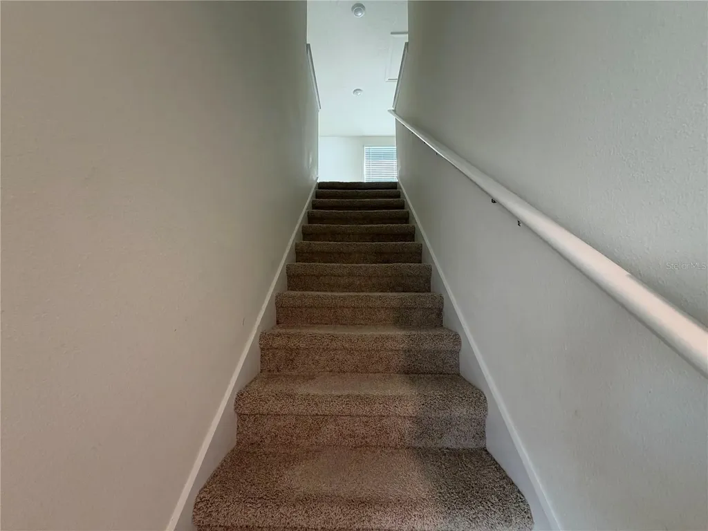 12072 Downy Birch Drive Riverview FL 33569