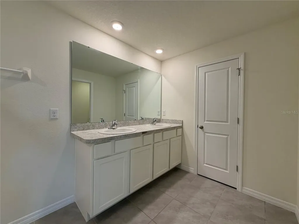 12072 Downy Birch Drive Riverview FL 33569