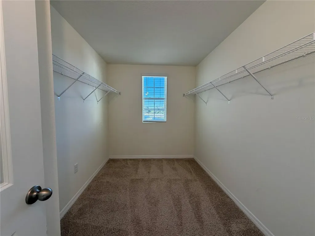 12072 Downy Birch Drive Riverview FL 33569