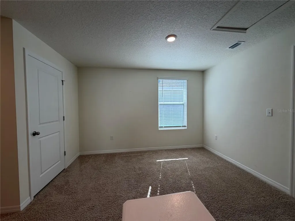 12072 Downy Birch Drive Riverview FL 33569