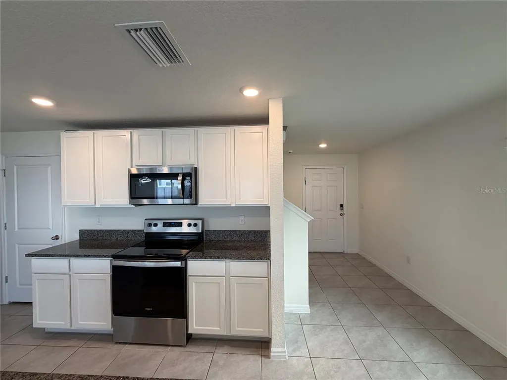 12072 Downy Birch Drive Riverview FL 33569