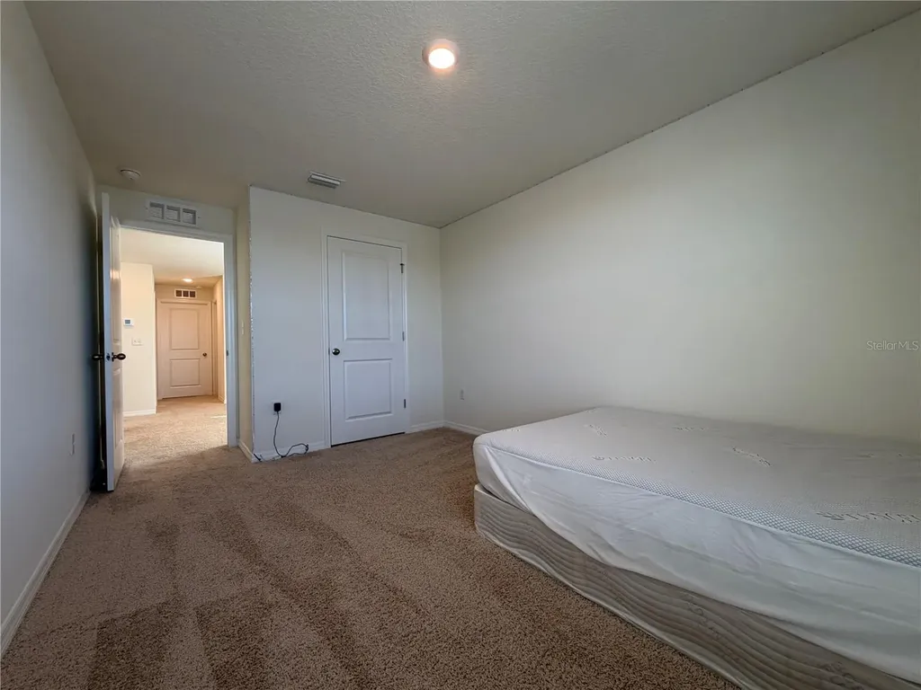 12072 Downy Birch Drive Riverview FL 33569