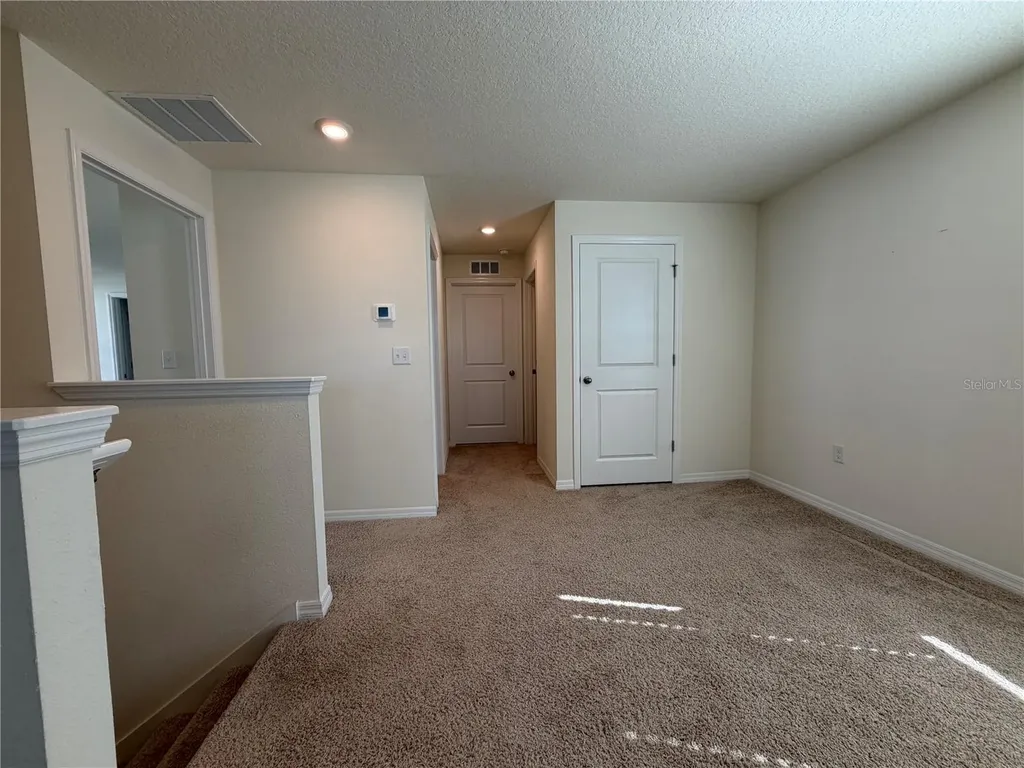 12072 Downy Birch Drive Riverview FL 33569