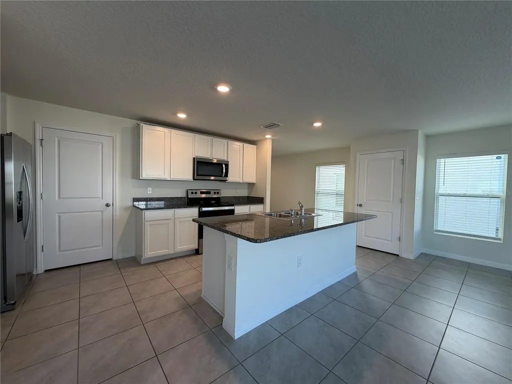 12072 Downy Birch Drive Riverview FL 33569