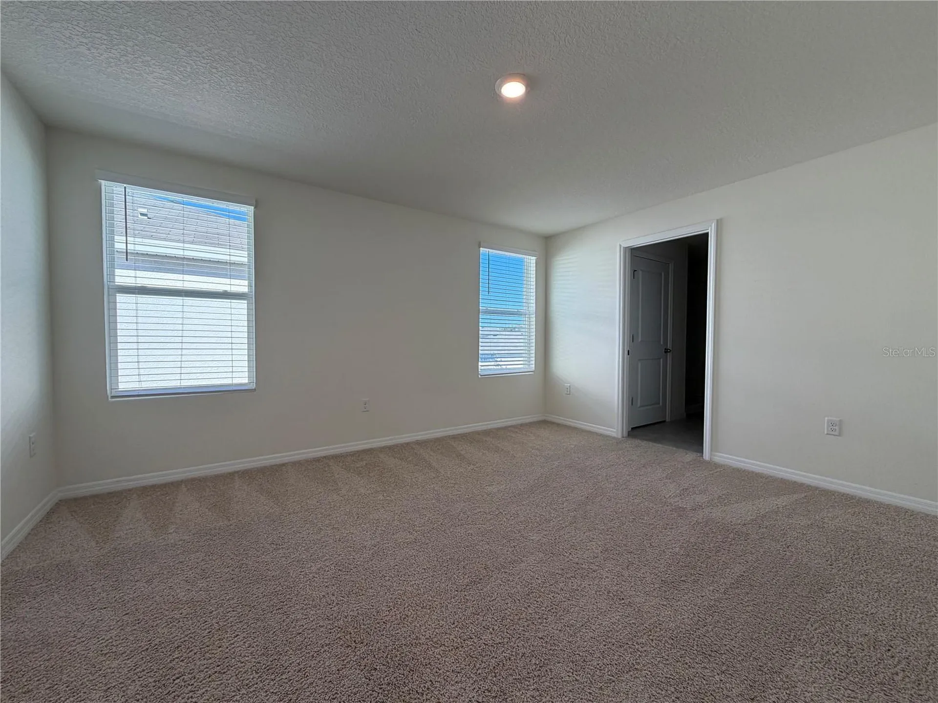 12072 Downy Birch Drive Riverview FL 33569