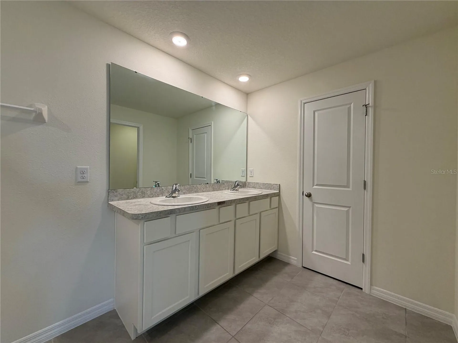 12072 Downy Birch Drive Riverview FL 33569
