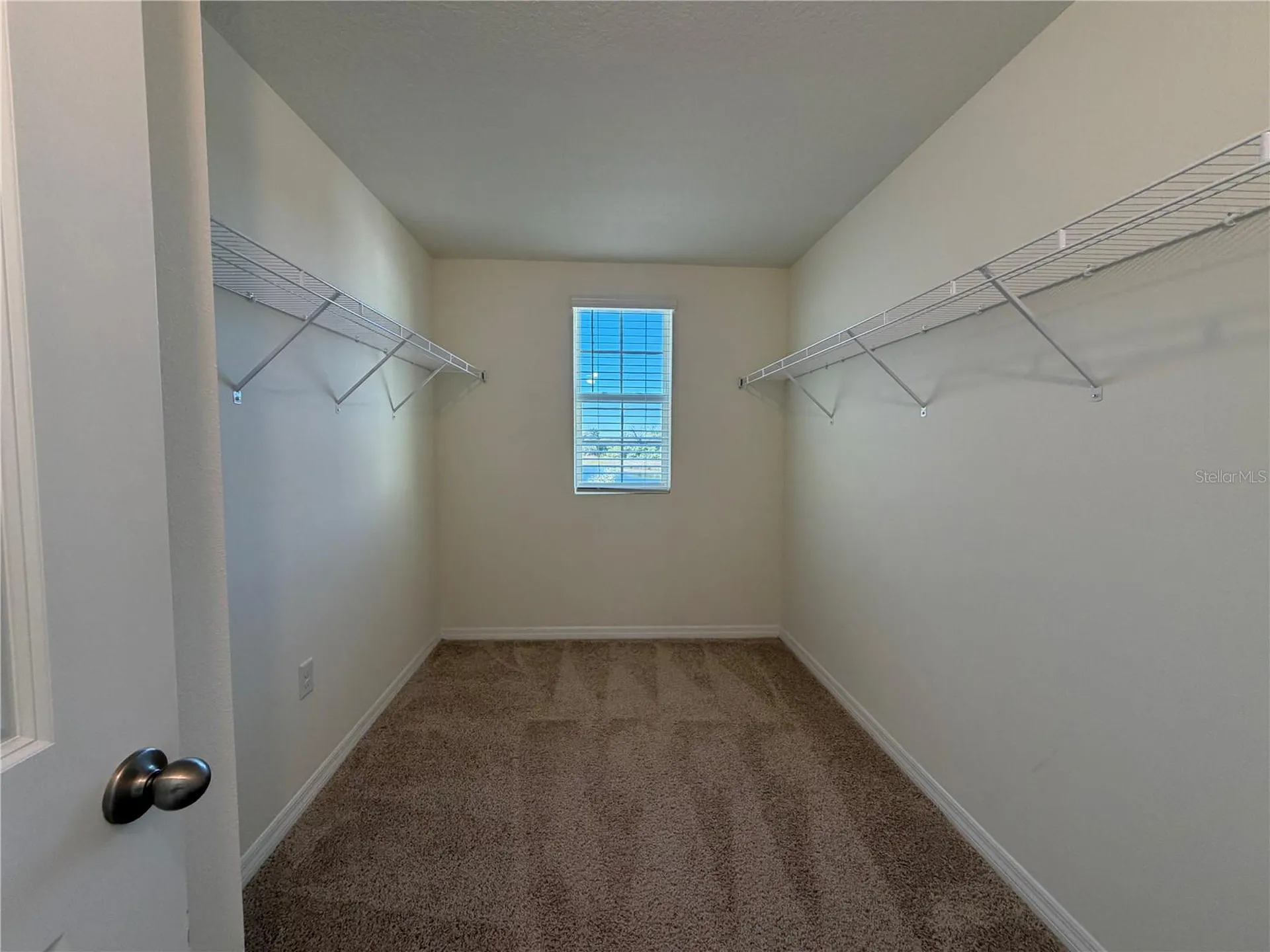 12072 Downy Birch Drive Riverview FL 33569