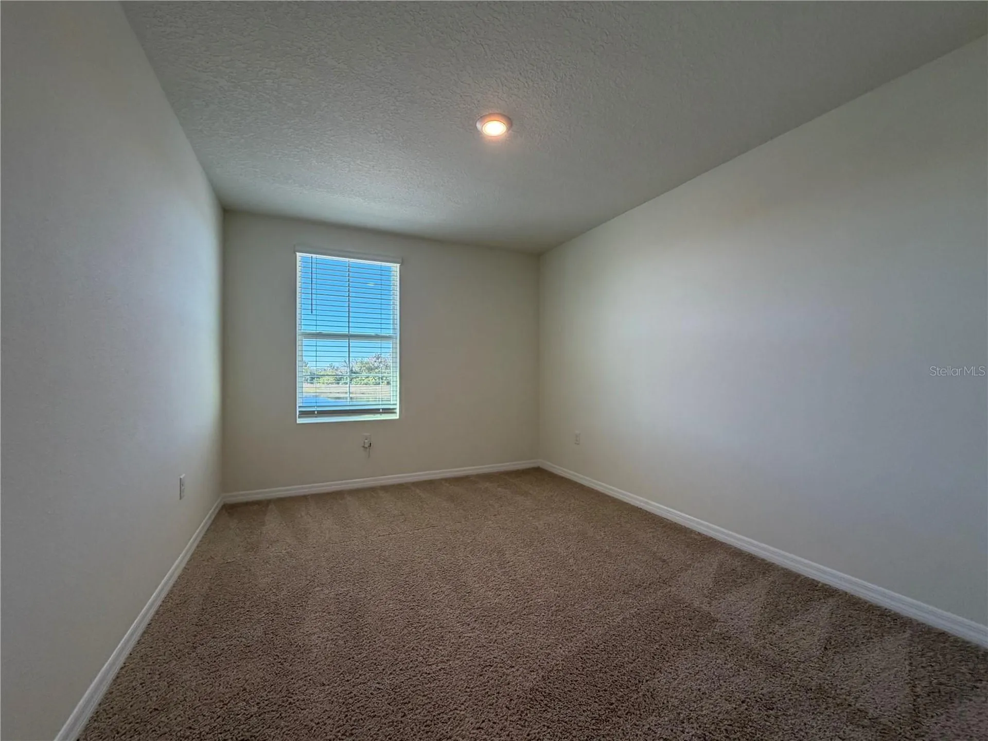 12072 Downy Birch Drive Riverview FL 33569