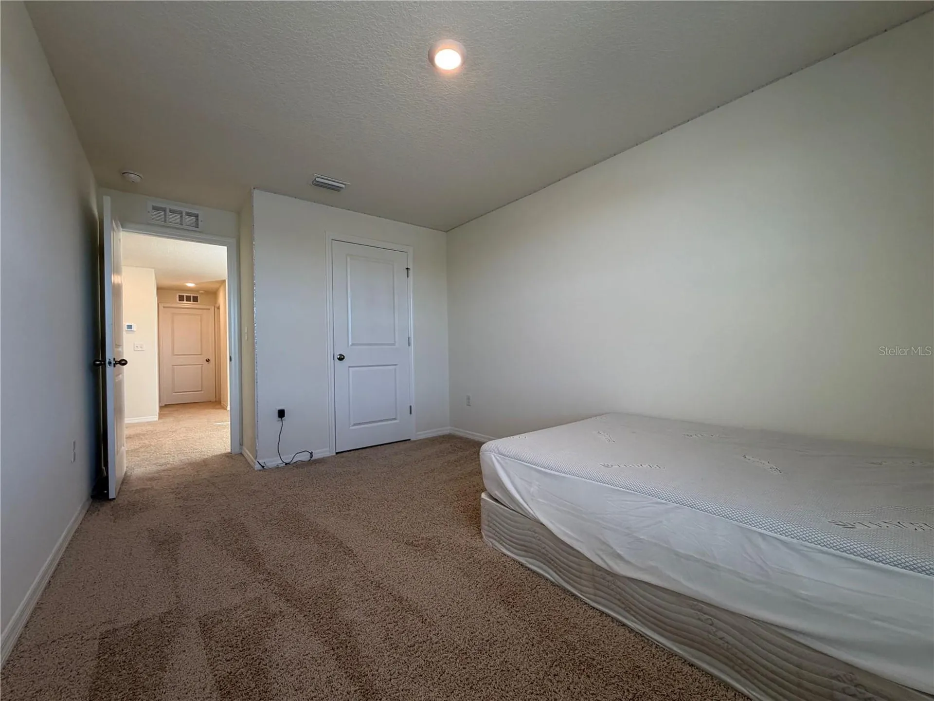 12072 Downy Birch Drive Riverview FL 33569