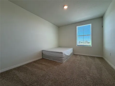12072 Downy Birch Drive Riverview FL 33569