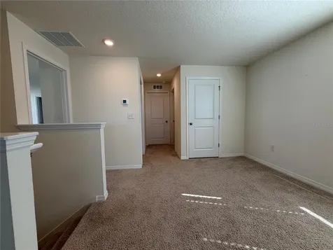 12072 Downy Birch Drive Riverview FL 33569