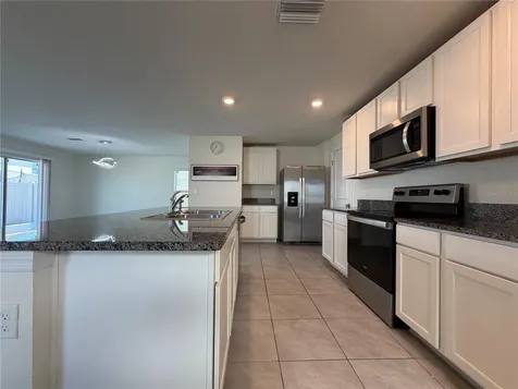 12072 Downy Birch Drive Riverview FL 33569
