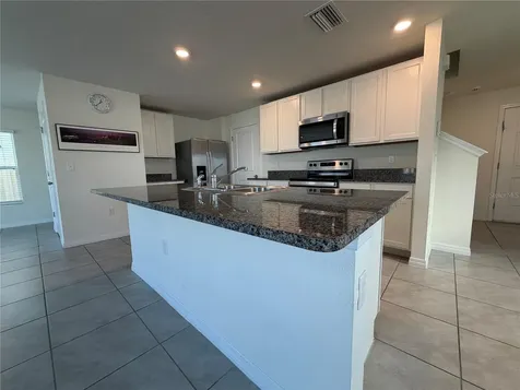 12072 Downy Birch Drive Riverview FL 33569