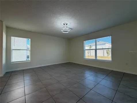 12072 Downy Birch Drive Riverview FL 33569