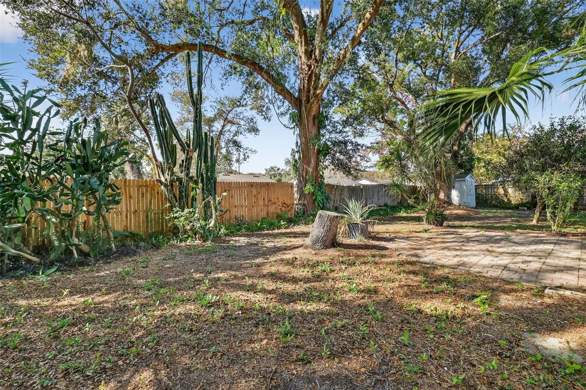 3450 Laurel Drive Mount Dora FL 32757