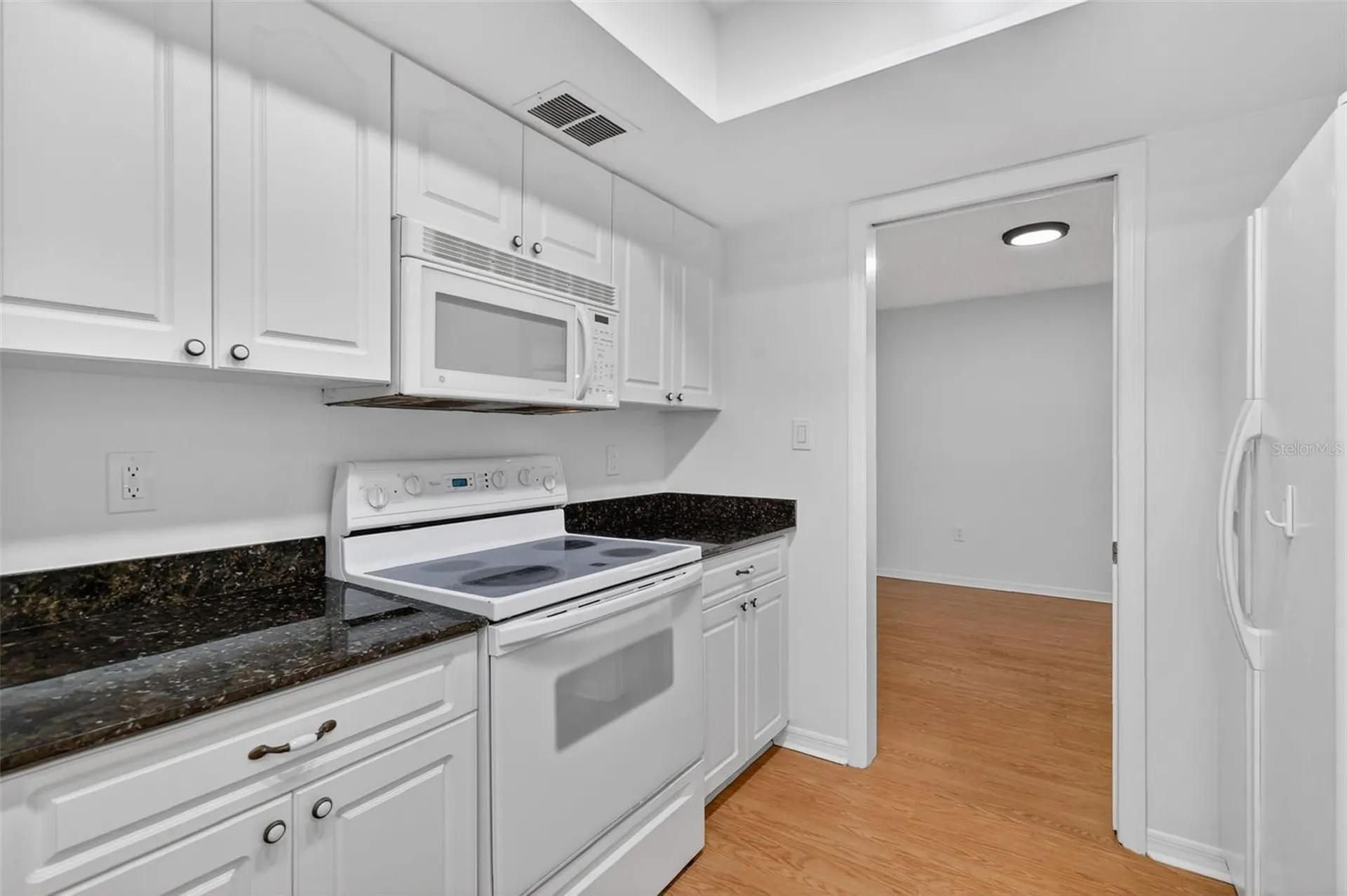 3450 Laurel Drive Mount Dora FL 32757