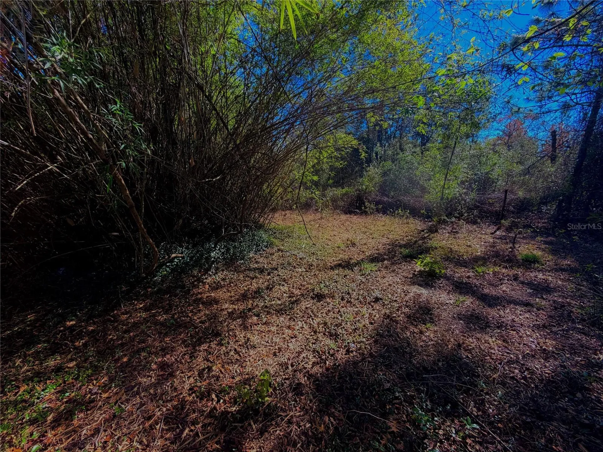7260 Woodstock Street Keystone Heights FL 32656