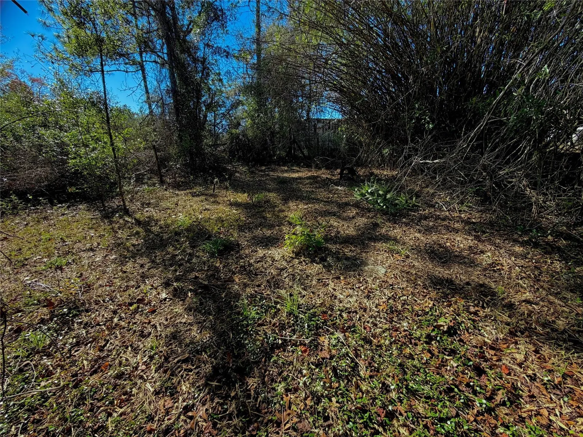 7260 Woodstock Street Keystone Heights FL 32656