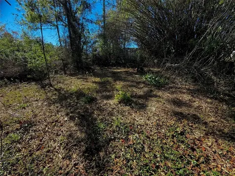 7260 Woodstock Street Keystone Heights FL 32656