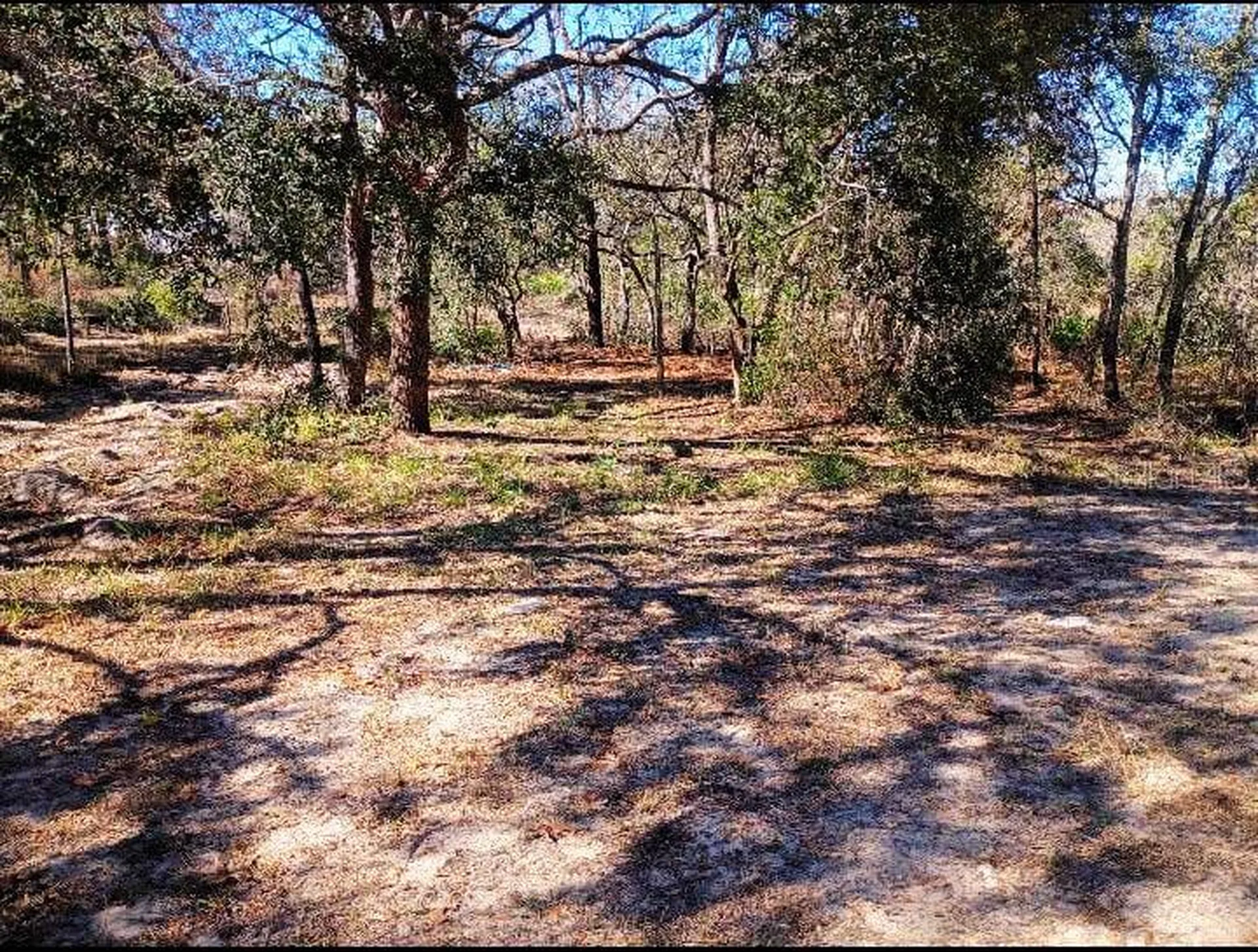 10367 Flycatcher Road Brooksville FL 34613