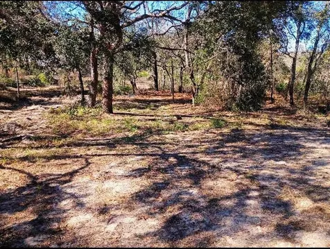 10367 Flycatcher Road Brooksville FL 34613
