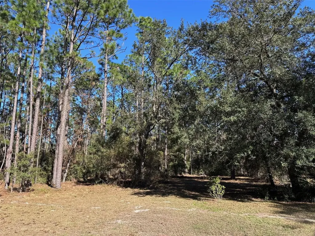 3760 SE County Road 337 Morriston FL 32668