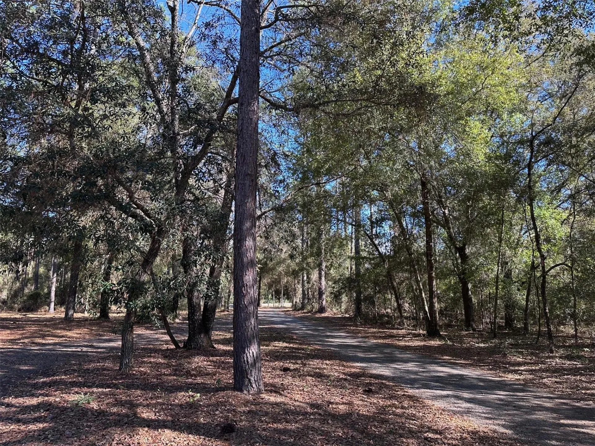 3760 SE County Road 337 Morriston FL 32668