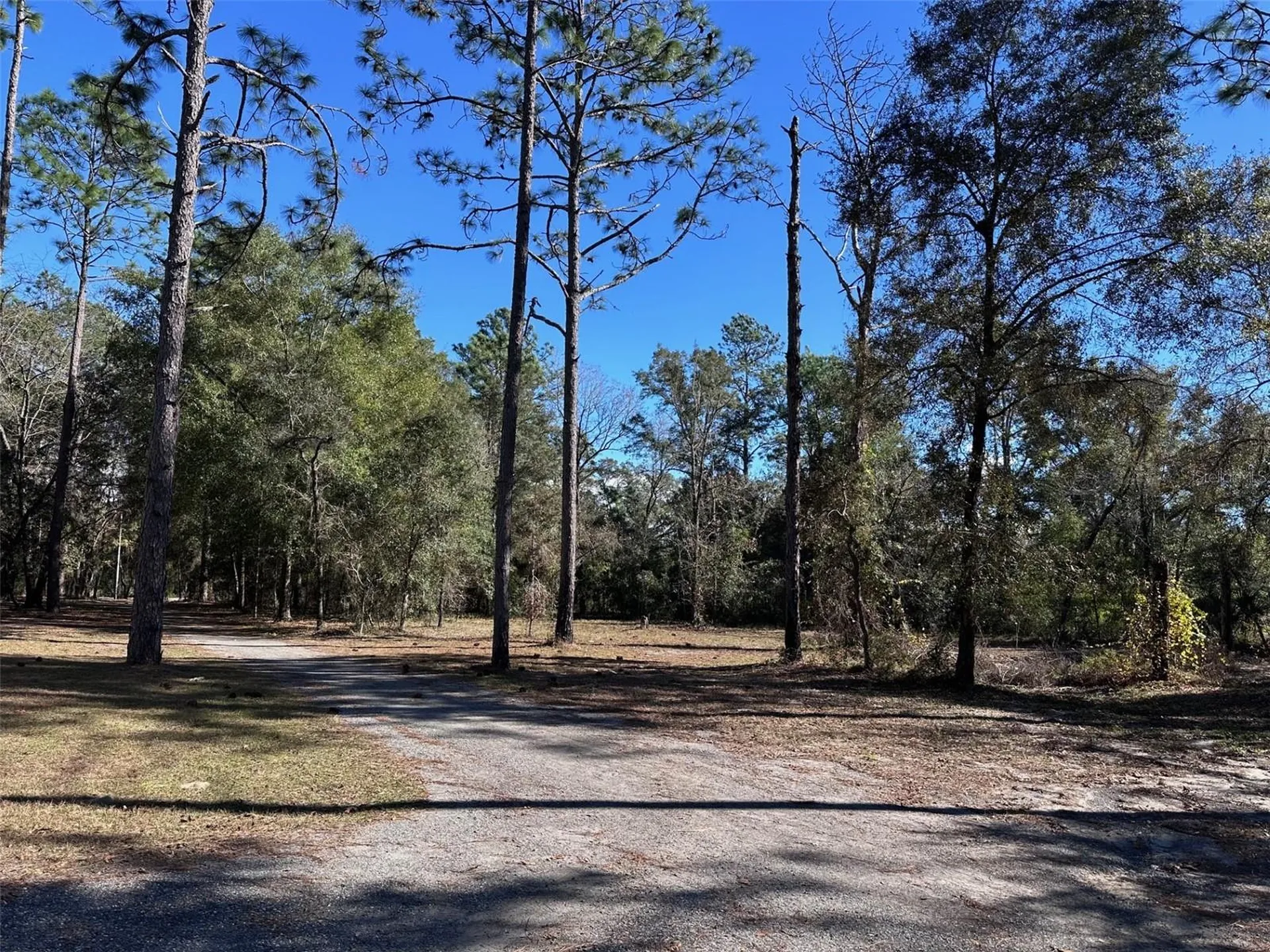 3760 SE County Road 337 Morriston FL 32668