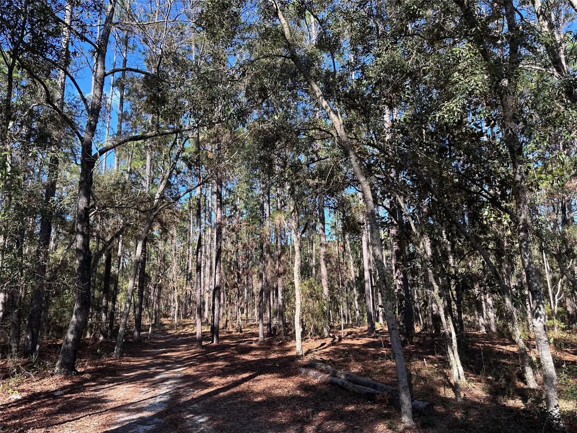3760 SE County Road 337 Morriston FL 32668