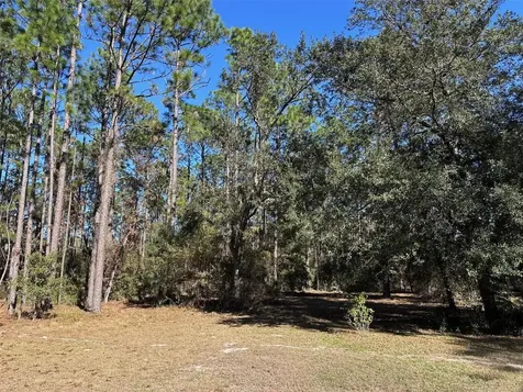 3760 SE County Road 337 Morriston FL 32668