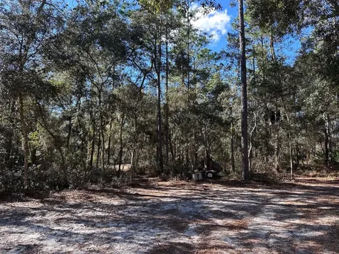 3760 SE County Road 337 Morriston FL 32668