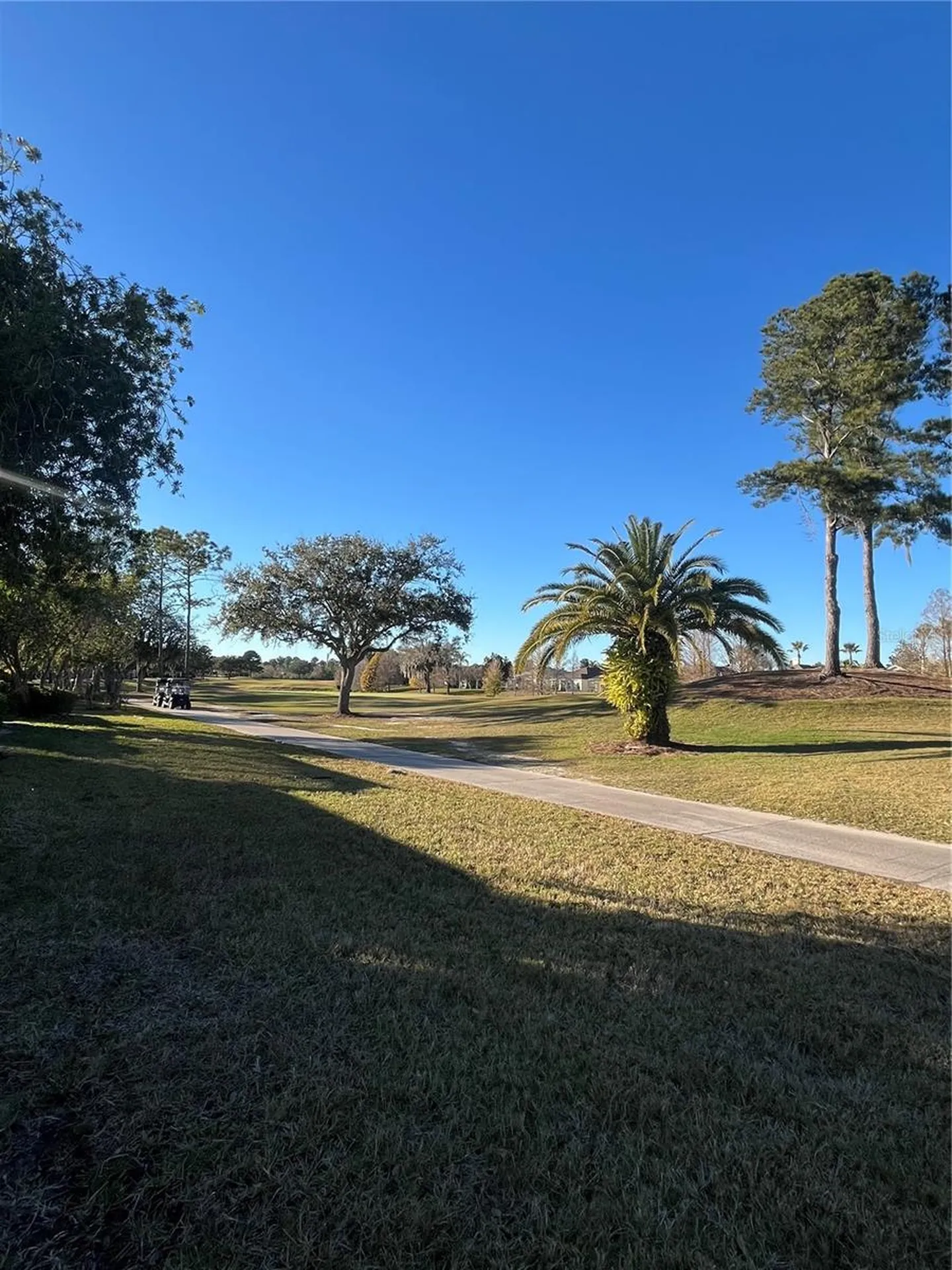 23835 Coral Ridge Lane Land O Lakes FL 34639