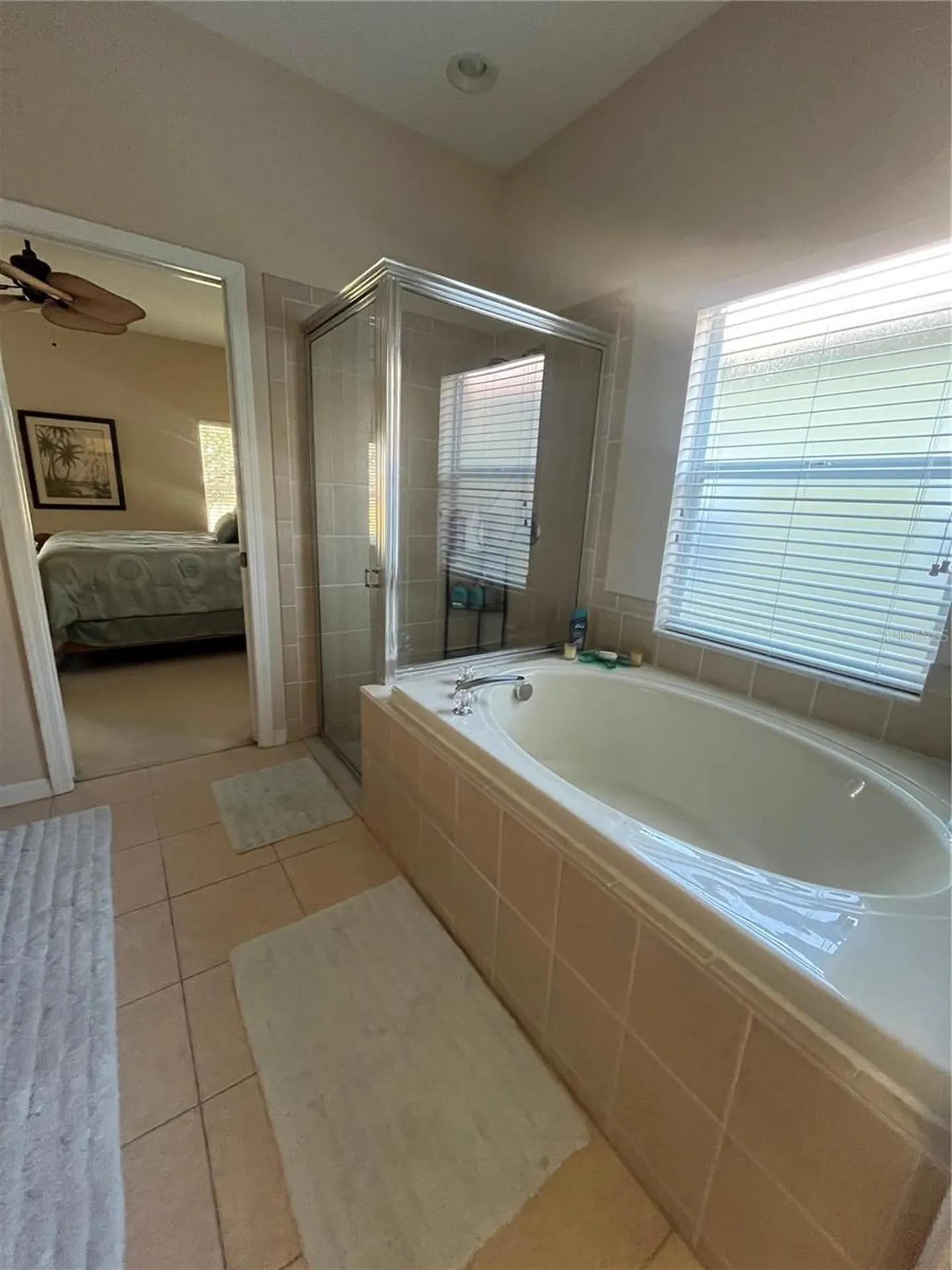 23835 Coral Ridge Lane Land O Lakes FL 34639
