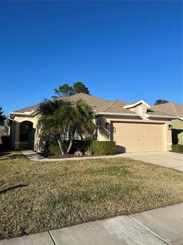 23835 Coral Ridge Lane Land O Lakes FL 34639