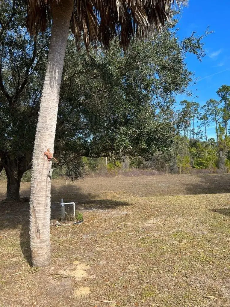 1135 Bergen Lane North Port FL 34288