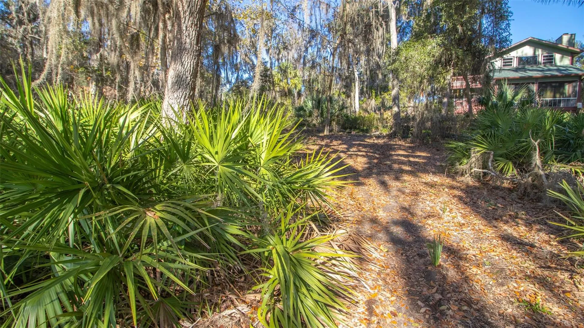 243 Herman Drive Hawthorne FL 32640