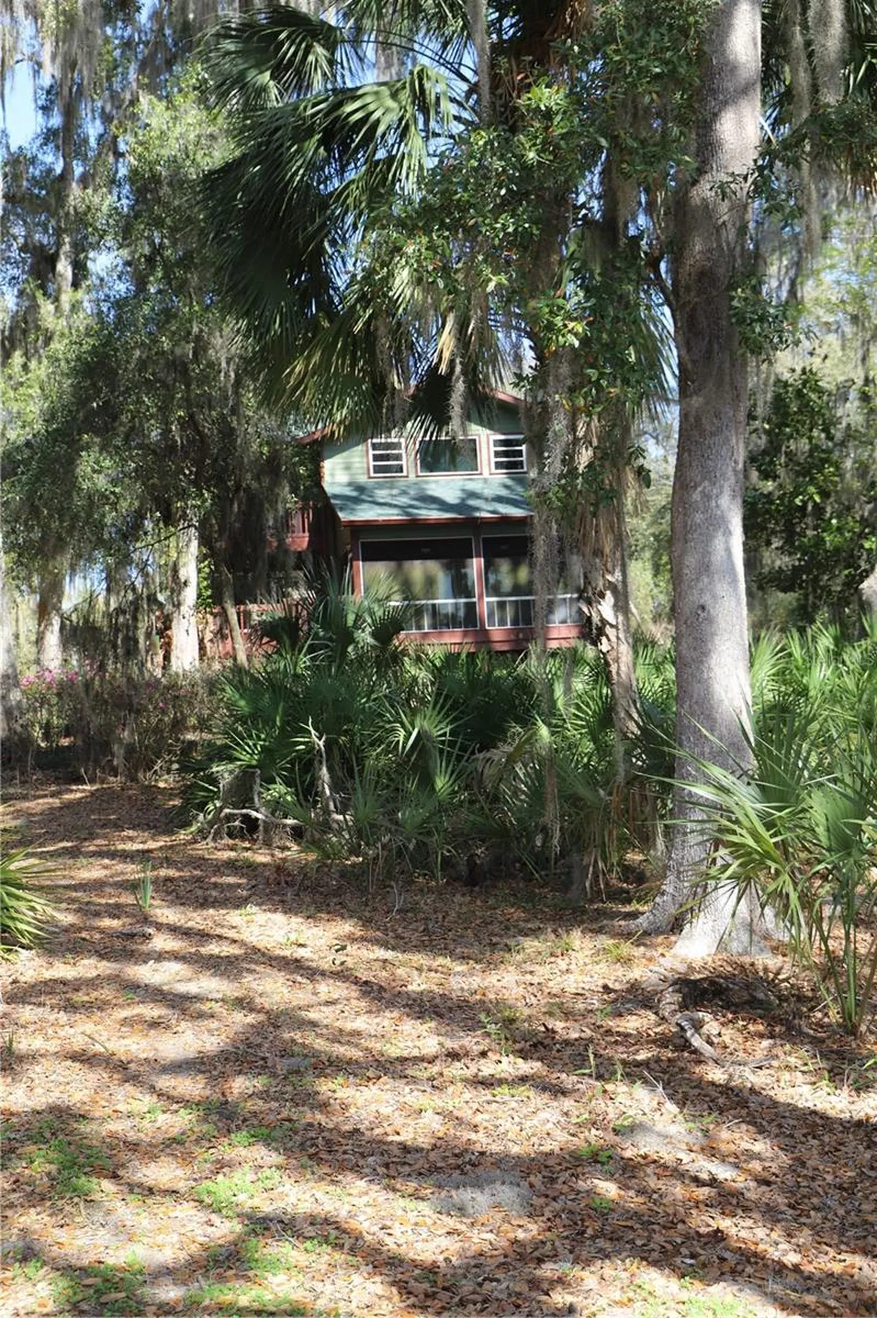 243 Herman Drive Hawthorne FL 32640