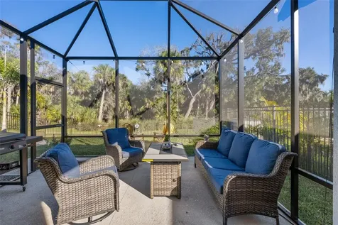 8724 Starry Night Terrace Parrish FL 34219