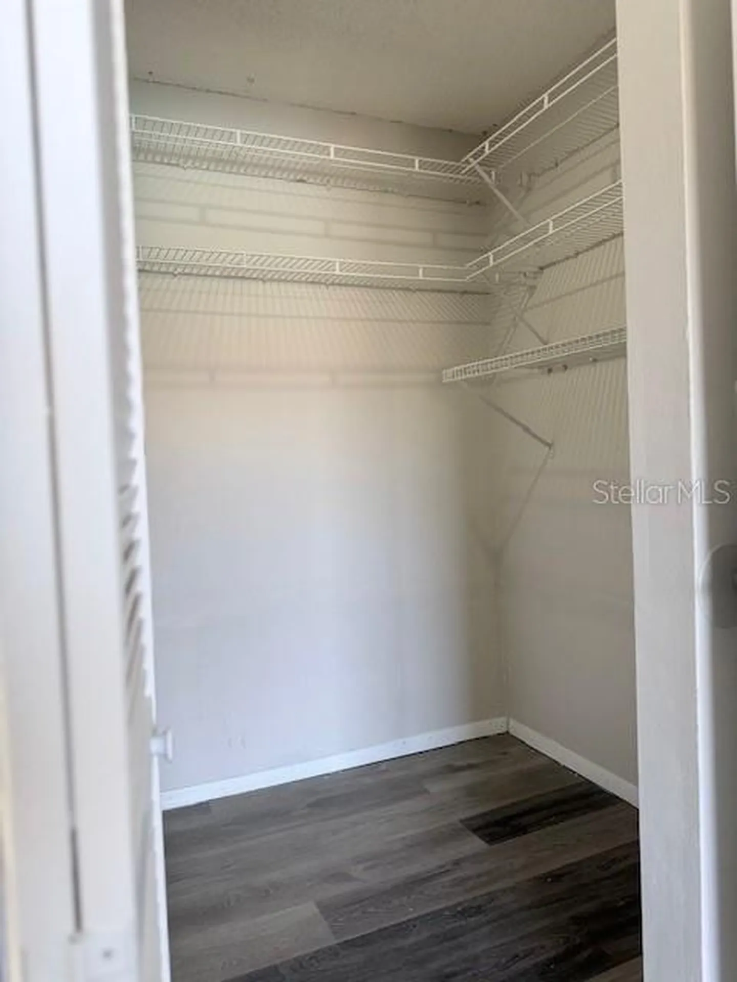 4991 Puritan Circle Tampa FL 33617