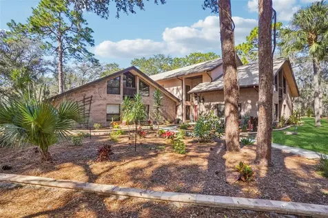 29207 Old Mill W Tavares FL 32778