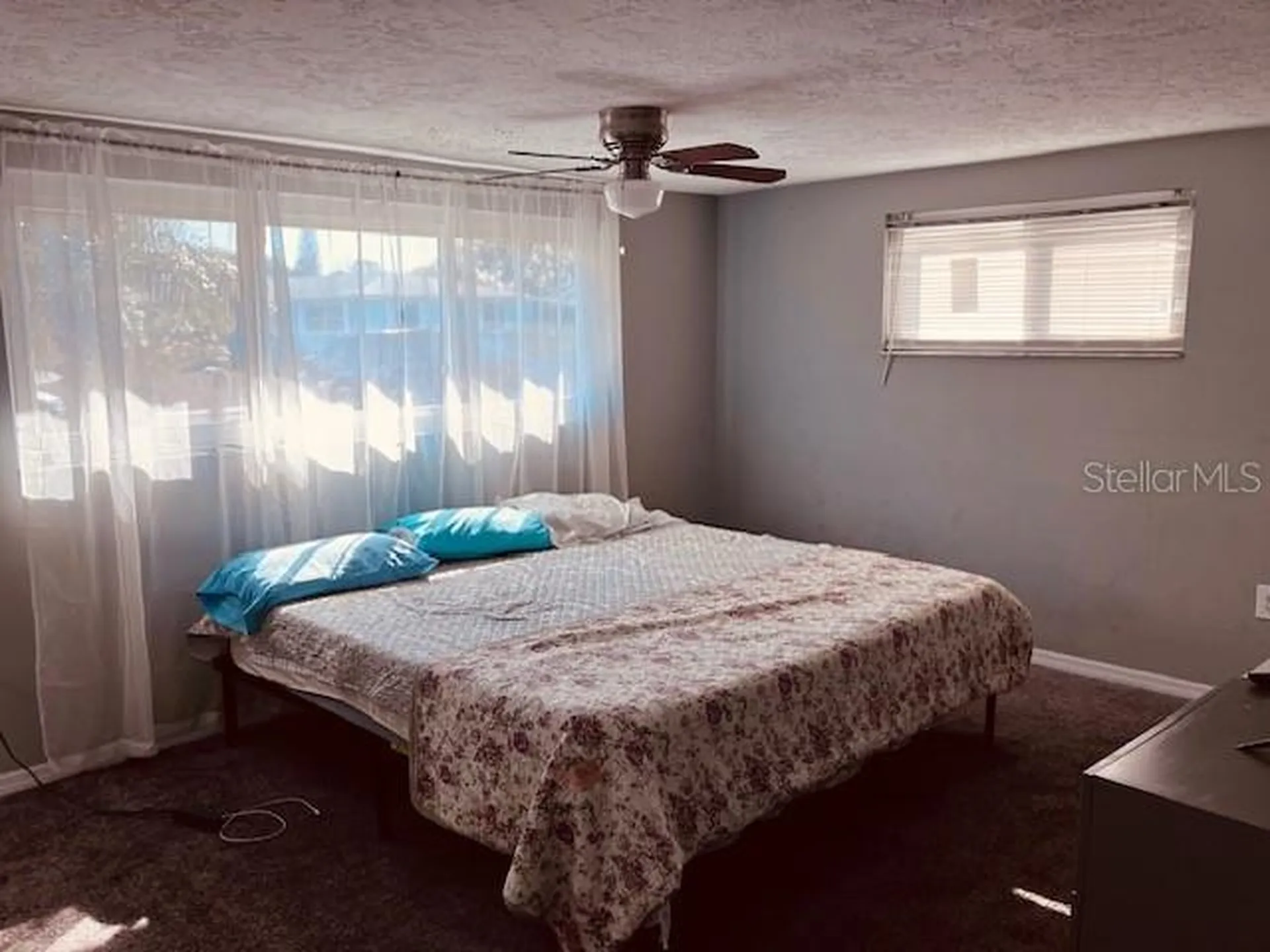3841 Chaffey Drive New Port Richey FL 34652