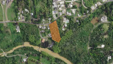 4 Barrio Rincon Cidra PR 00739