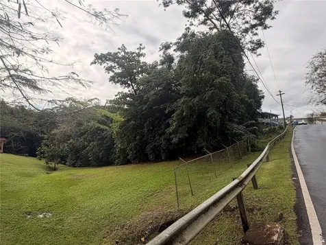 4 Barrio Rincon Cidra PR 00739