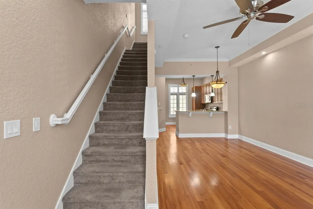 2226 Soho Bay Court Tampa FL 33606