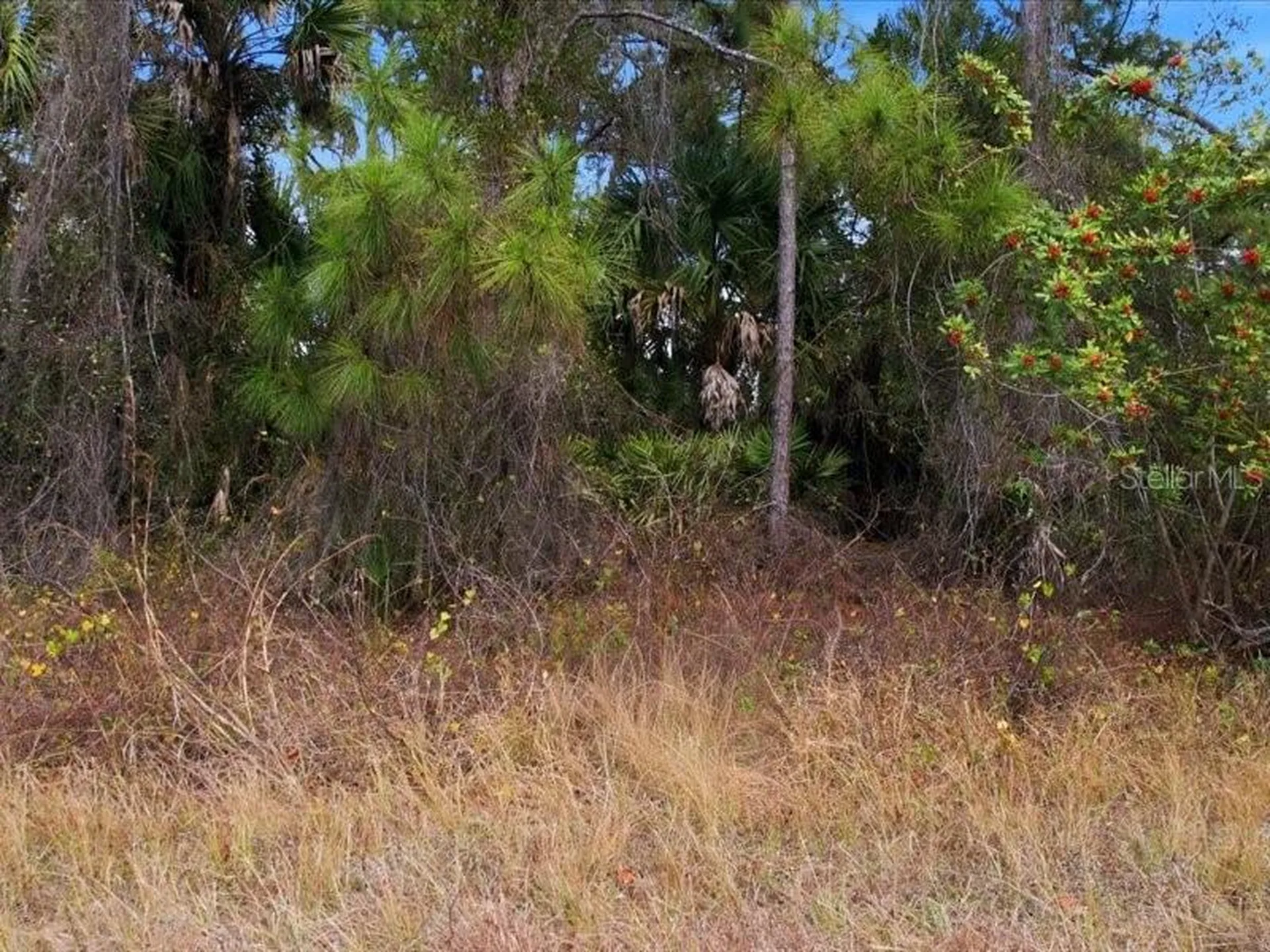 1126207439 Barcelona Drive North Port FL 34288