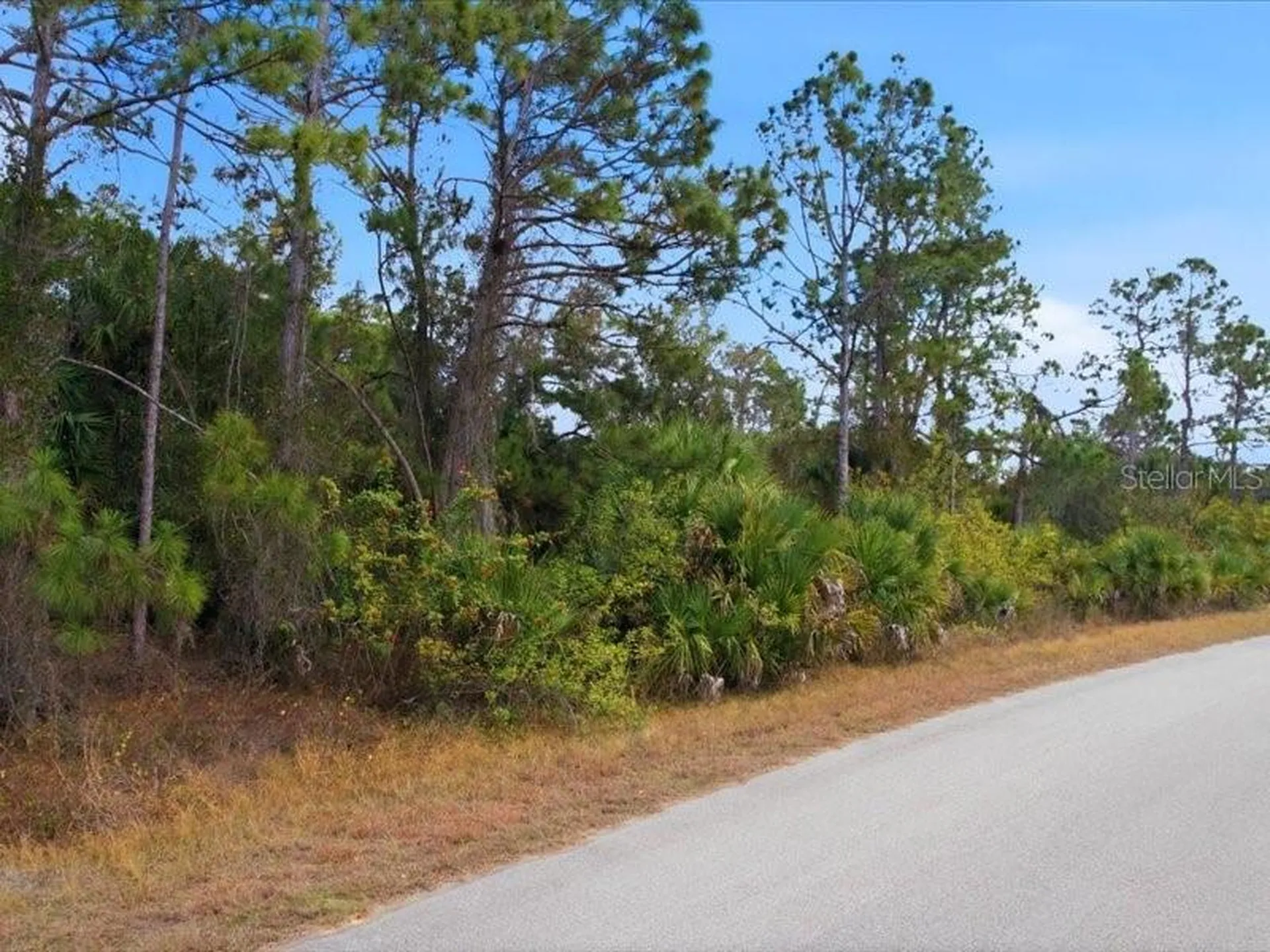 1126207439 Barcelona Drive North Port FL 34288