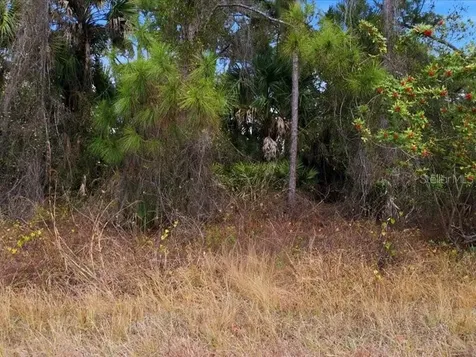 1126207439 Barcelona Drive North Port FL 34288