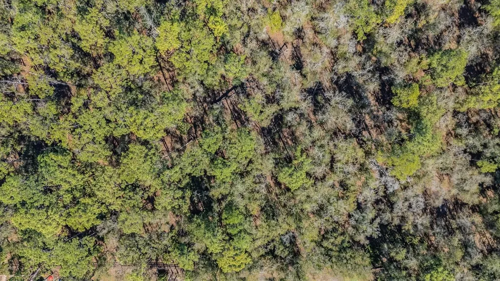 5504 Sun Up Road Land O Lakes FL 34638