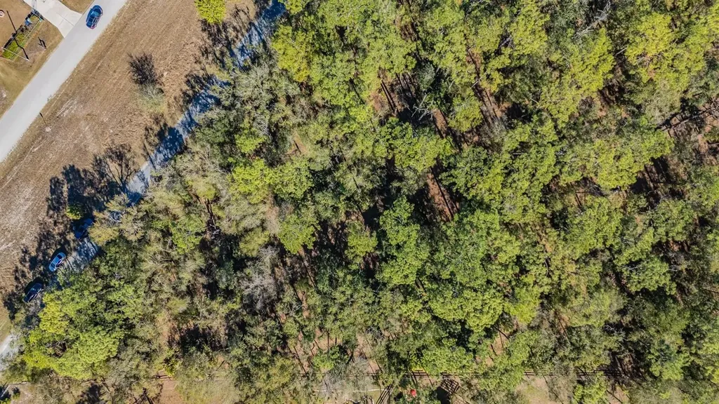 5504 Sun Up Road Land O Lakes FL 34638